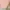 Colorbox Puff Pink Uk L