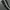 Thrift-Training Adidas Treefoil photo 3