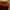 Hawkins Cap Toe  photo 7