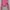 Cardigan premium brand3d photo 4