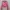 Cardigan premium brand3d photo 2