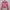 Cardigan Premium Brand3d