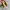 SALVATORE FERRAGAMO LOW HEELS photo 6