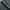 Thrift-Training Adidas Navy photo 3