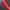 Thrift-Training Adidas Red photo 3