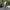 00s realtree wide leg pants photo 2