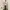 00s realtree wide leg pants photo 3