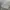 laine knit grey sweater photo 7