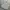 laine knit grey sweater photo 5