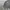 ingni type 2 grey jacket  photo 5