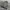 john henry 3d knitted sweat photo 4