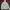 Hoodie Carhartt College Sweat Golden Size photo 1