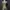 y2k see trough graphics tank top photo 2