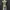 y2k see trough graphics tank top photo 1