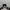 Ray Ban Luxury Casual Sunglass Pria Green