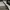 Ray Ban Luxury Casual Sunglass Pria green photo 6
