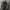 Adidas Professional Half Zip Windbreaker Jacket photo 6