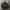 Adidas Professional Half Zip Windbreaker Jacket photo 2