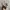 ADIDAS OZWEEGO TODDLER photo 5