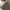 ADIDAS OZWEEGO TODDLER photo 8