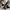 ADIDAS OZWEEGO TODDLER photo 4