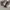 ADIDAS OZWEEGO TODDLER photo 2