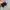 CONVERSE ALLSTAR HIGHTOP TODDLER photo 5