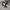 CONVERSE ALLSTAR HIGHTOP TODDLER photo 2