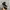 CONVERSE ALLSTAR HIGHTOP TODDLER photo 4