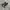 CONVERSE ALLSTAR HIGHTOP TODDLER photo 1