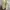 CREAM LEATHER FRONT ZIP BOOTS photo 7