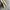 CREAM LEATHER FRONT ZIP BOOTS photo 6