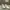 Adidas  photo 1