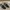Vans slip on photo 5