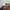 Ray Ban Vintage Luxury Sunglass Pria gold brown photo 3