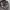 Basic Realtree Camo made in USA photo 4