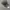 Basic Realtree Camo made in USA photo 1