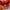 Jersey Kappa Template As Roma photo 7