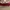 Tory burch ines espadrille  original photo 4