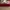 Tory burch ines espadrille  original photo 3