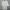 Polo Ralph Lauren Luxury Casual Polo Shirt Pria White Gray