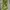 Vintage Moschino Jeans Green Floral Flare Velvet Pants