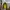 Tracktop Ellese  photo 1