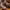 Dickies Suede Boots photo 1