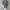 Trump 2020 Realtree Camo photo 6