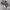 Trump 2020 Realtree Camo photo 1