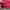 Vintage Y2K Nike Sell Out Half Zipper Pria Red photo 3