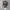 WMI Realtree Camo photo 6