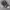 WMI Realtree Camo photo 1