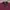Indian Motorcycle Stripe Embroidered Logo Polo Shirt photo 4